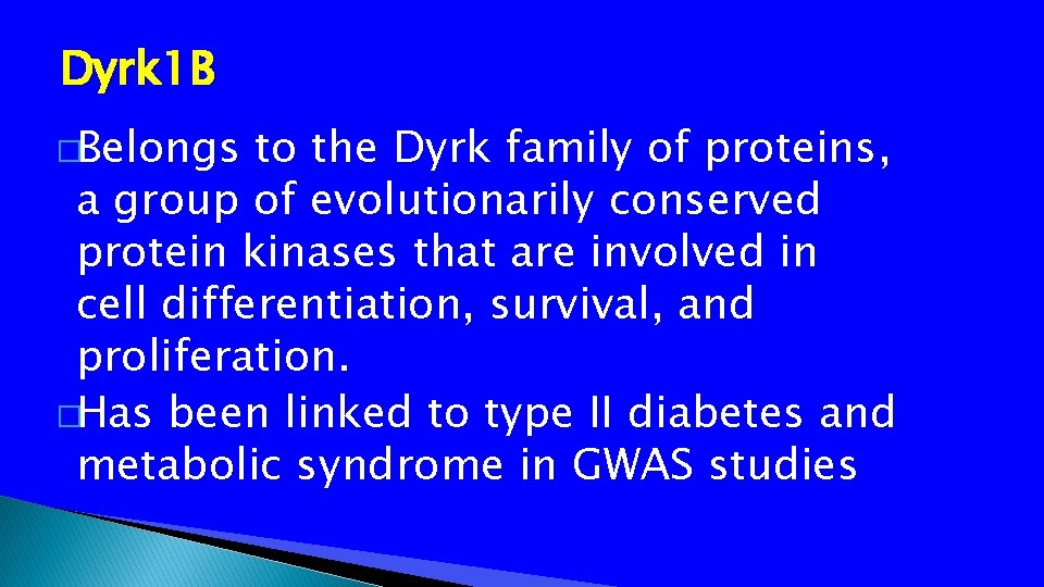 Dyrk 1 B �Belongs to the Dyrk family of proteins, a group of evolutionarily