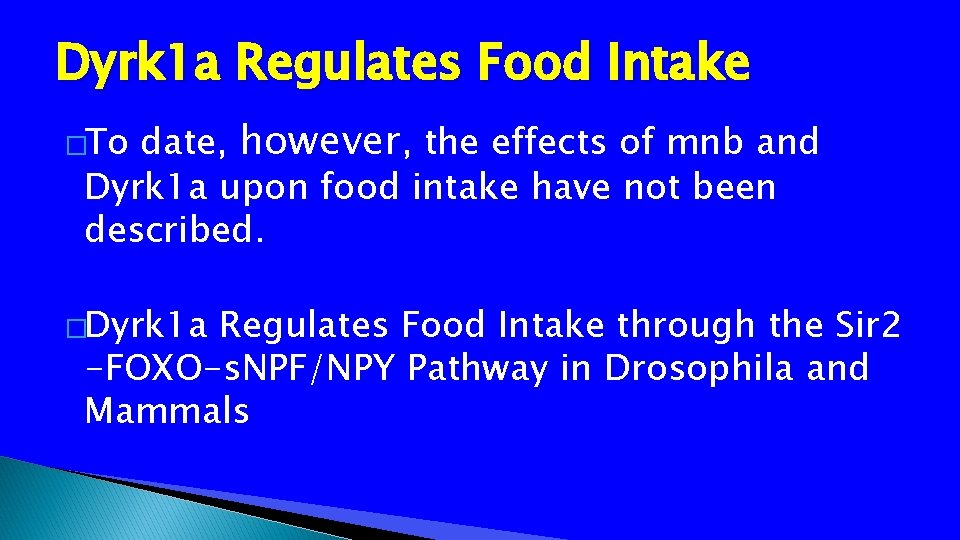 Dyrk 1 a Regulates Food Intake date, however, the effects of mnb and Dyrk