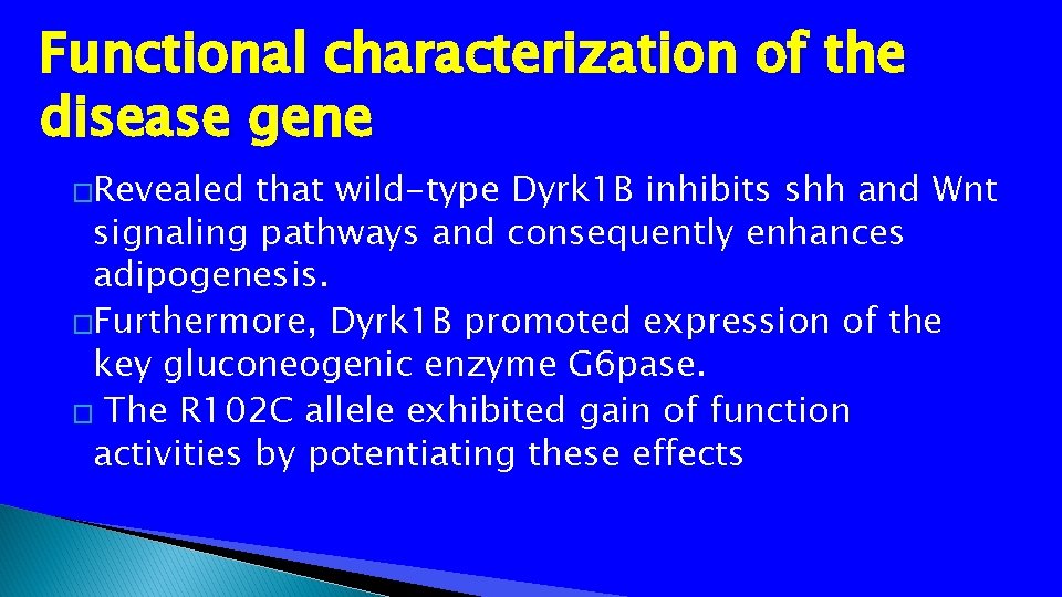 Functional characterization of the disease gene �Revealed that wild-type Dyrk 1 B inhibits shh