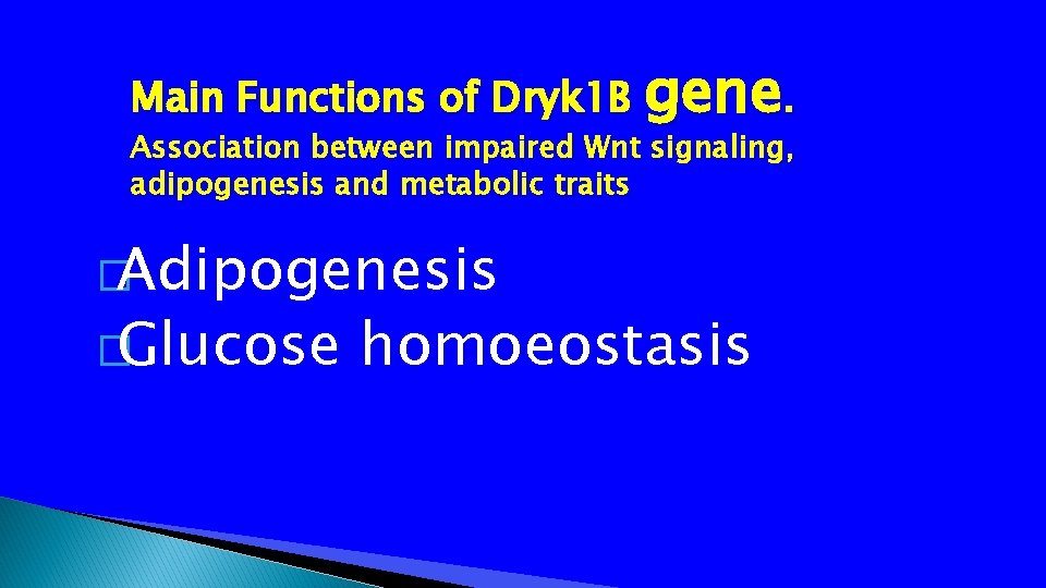 Main Functions of Dryk 1 B gene. Association between impaired Wnt signaling, adipogenesis and