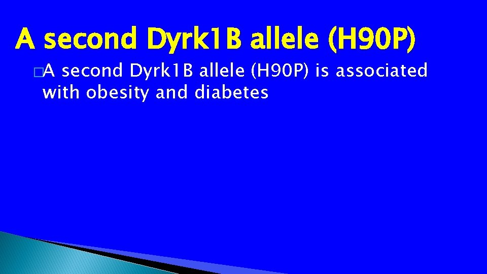 A second Dyrk 1 B allele (H 90 P) �A second Dyrk 1 B