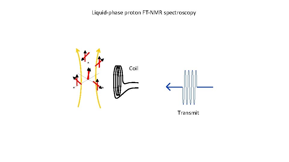 Liquid-phase proton FT-NMR spectroscopy Coil Transmit 