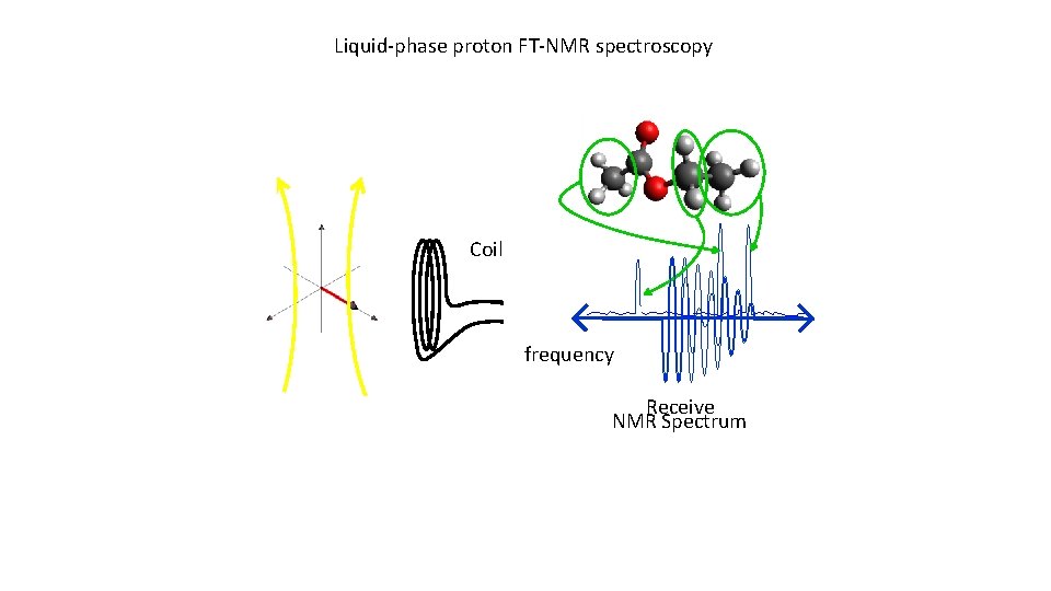 Liquid-phase proton FT-NMR spectroscopy Coil frequency Receive NMR Spectrum 