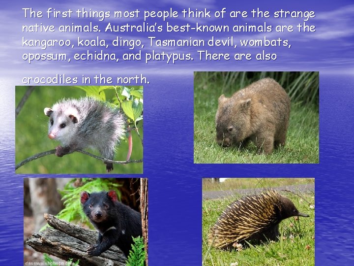 The first things most people think of are the strange native animals. Australia’s best-known
