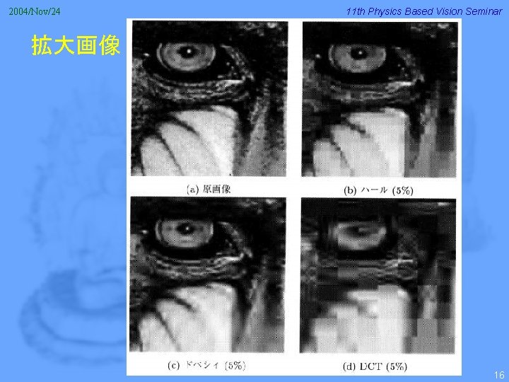 2004/Nov/24 11 th Physics Based Vision Seminar 拡大画像 16 