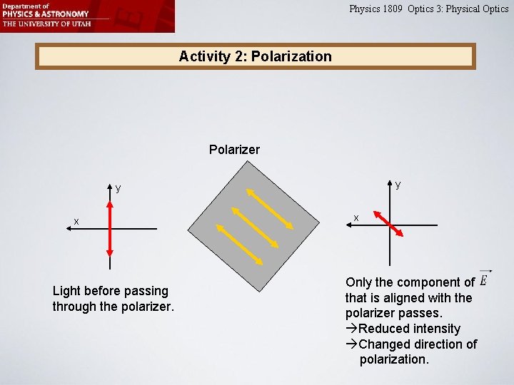 Physics 1809 Optics 3: Physical Optics Activity 2: Polarization Polarizer x Light before passing Physics 1809 Optics 3: Physical Optics Activity 2: Polarization Polarizer x Light before passing
