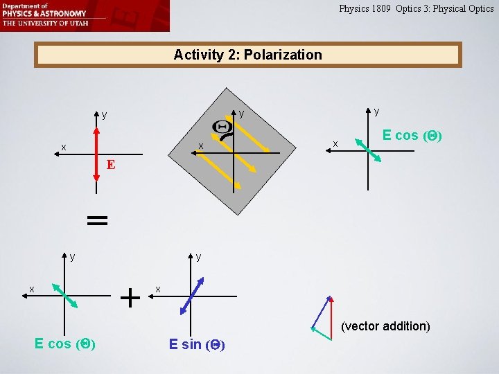 Physics 1809 Optics 3: Physical Optics Activity 2: Polarization y y y x x Physics 1809 Optics 3: Physical Optics Activity 2: Polarization y y y x x
