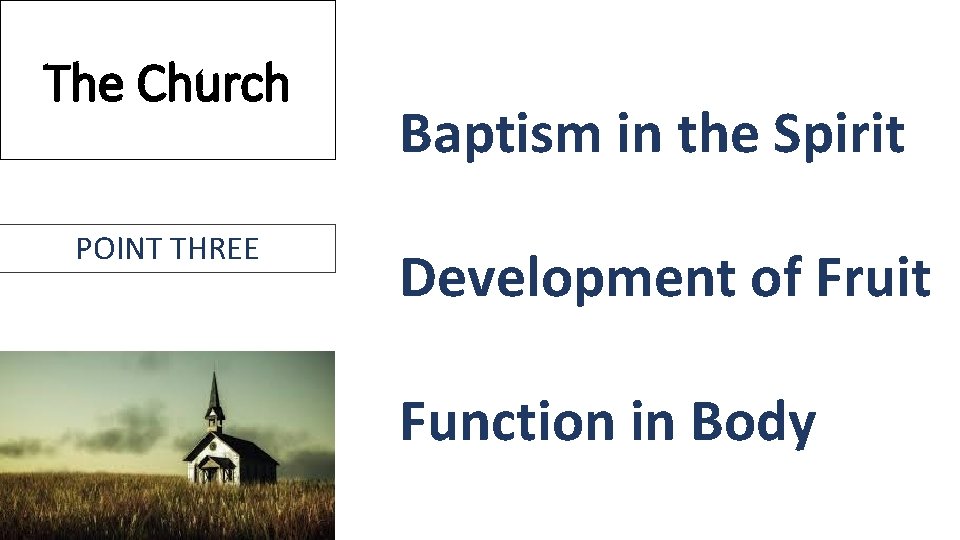 The Church POINT THREE Baptism in the Spirit Development of Fruit Function in Body