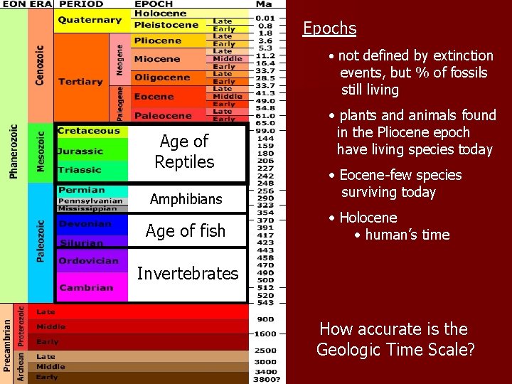 Epochs • not defined by extinction events, but % of fossils still living Age