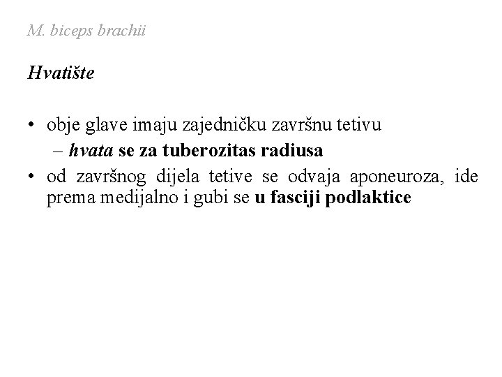 M. biceps brachii Hvatište • obje glave imaju zajedničku završnu tetivu – hvata se M. biceps brachii Hvatište • obje glave imaju zajedničku završnu tetivu – hvata se