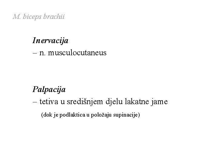 M. biceps brachii Inervacija – n. musculocutaneus Palpacija – tetiva u središnjem djelu lakatne M. biceps brachii Inervacija – n. musculocutaneus Palpacija – tetiva u središnjem djelu lakatne