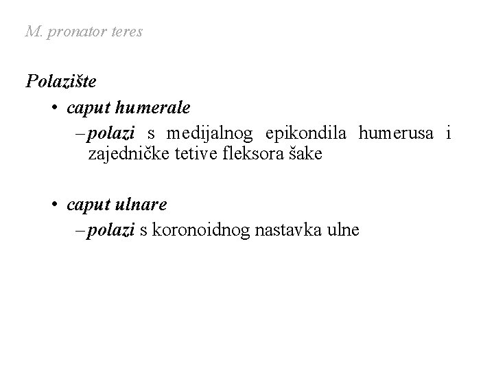 M. pronator teres Polazište • caput humerale – polazi s medijalnog epikondila humerusa i M. pronator teres Polazište • caput humerale – polazi s medijalnog epikondila humerusa i