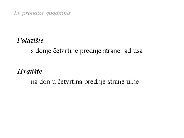 M. pronator quadratus Polazište – s donje četvrtine prednje strane radiusa Hvatište – na M. pronator quadratus Polazište – s donje četvrtine prednje strane radiusa Hvatište – na