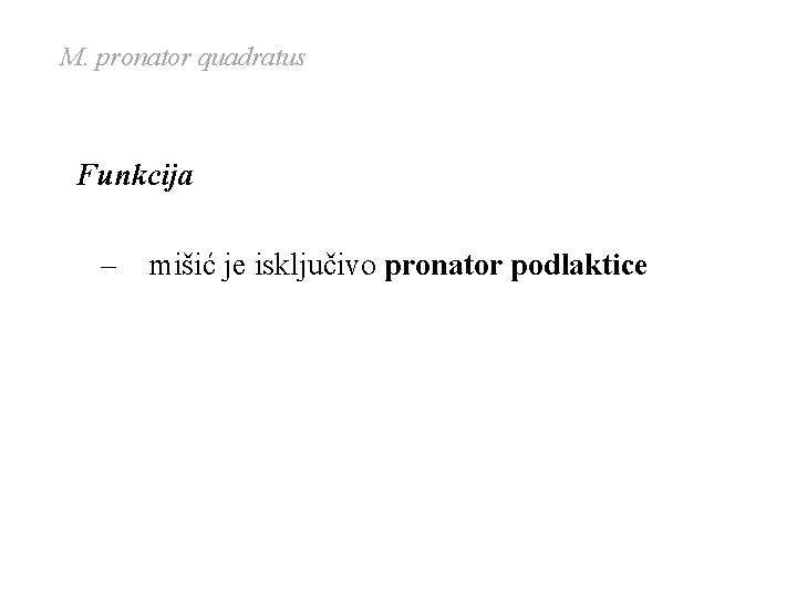 M. pronator quadratus Funkcija – mišić je isključivo pronator podlaktice M. pronator quadratus Funkcija – mišić je isključivo pronator podlaktice