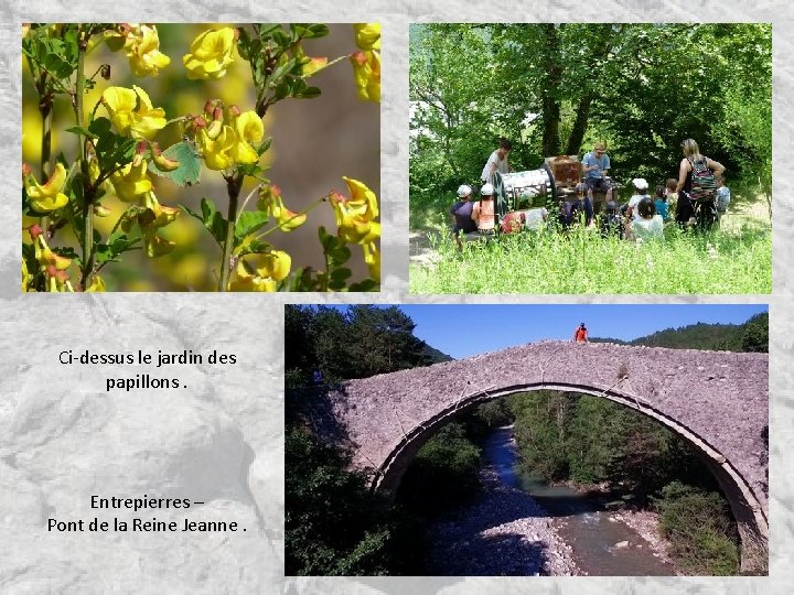 Ci-dessus le jardin des papillons. Entrepierres – Pont de la Reine Jeanne. Ci-dessus le jardin des papillons. Entrepierres – Pont de la Reine Jeanne.
