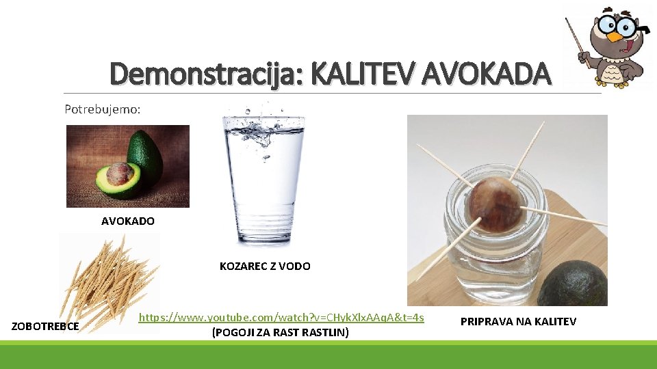 Demonstracija: KALITEV AVOKADA Potrebujemo: AVOKADO KOZAREC Z VODO ZOBOTREBCE https: //www. youtube. com/watch? v=CHyk.