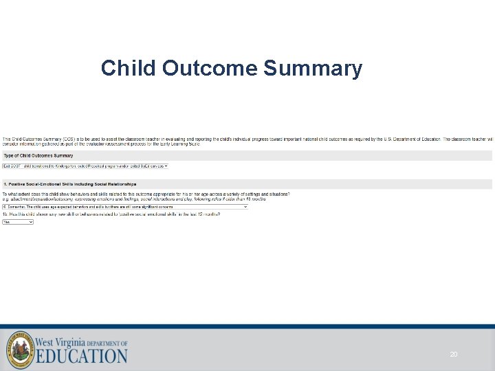 Child Outcome Summary 20 