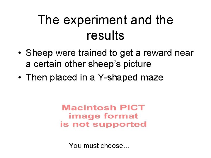 The experiment and the results • Sheep were trained to get a reward near