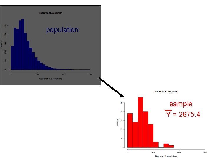 population sample Y = 2675. 4 