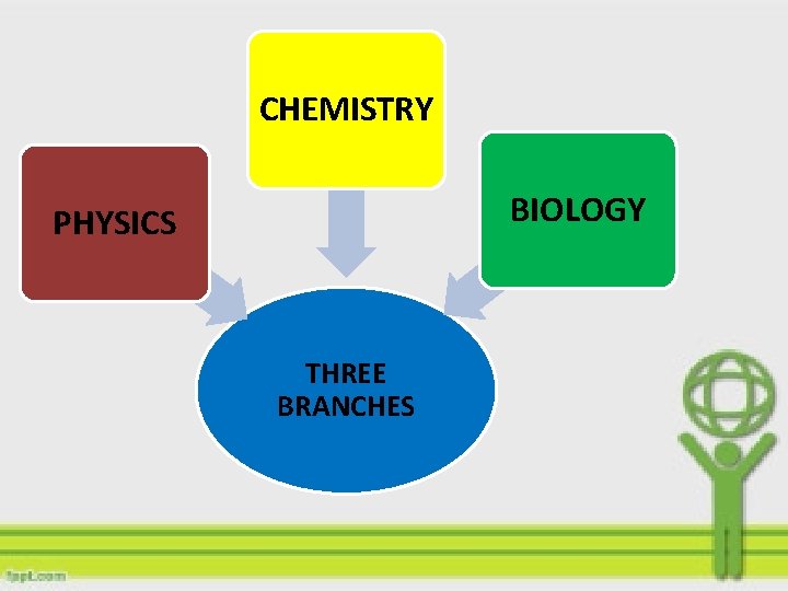 CHEMISTRY BIOLOGY PHYSICS THREE BRANCHES 