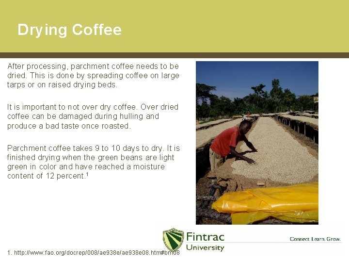 Drying Coffee After processing, parchment coffee needs to be dried. This is done by