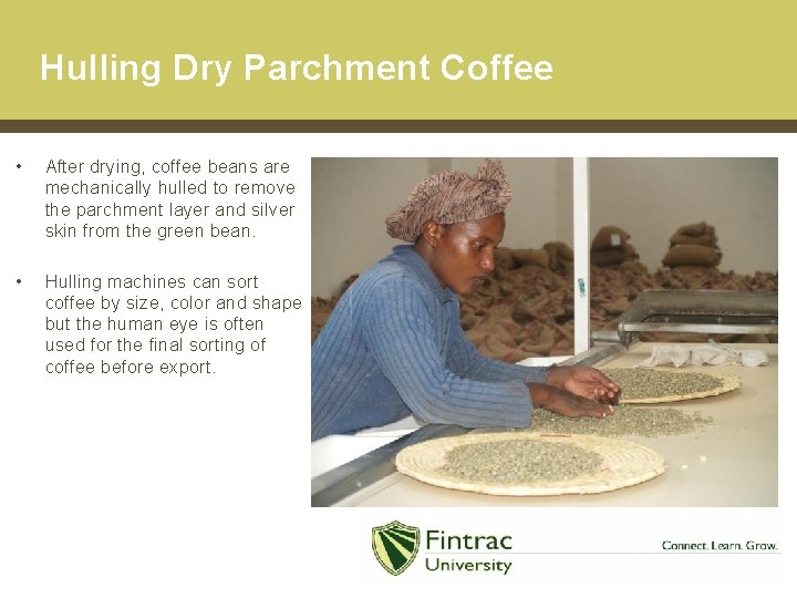 Hulling Dry Parchment Coffee • After drying, coffee beans are mechanically hulled to remove