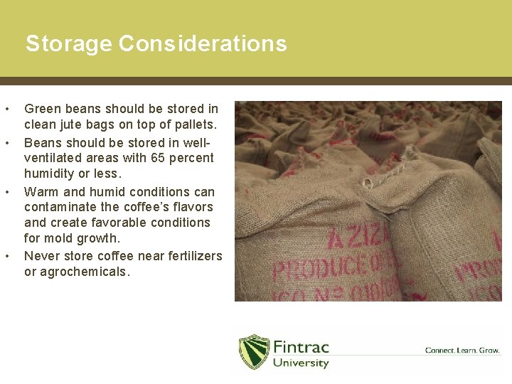 Storage Considerations • • Green beans should be stored in clean jute bags on