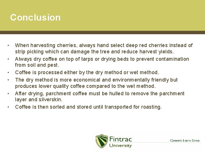 Conclusion • • • When harvesting cherries, always hand select deep red cherries instead