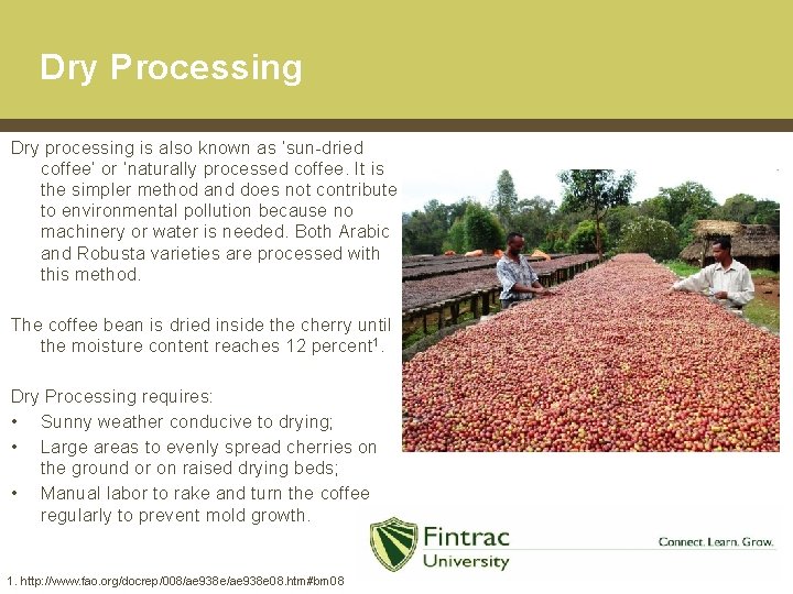Dry Processing Dry processing is also known as ‘sun-dried coffee’ or ‘naturally processed coffee.