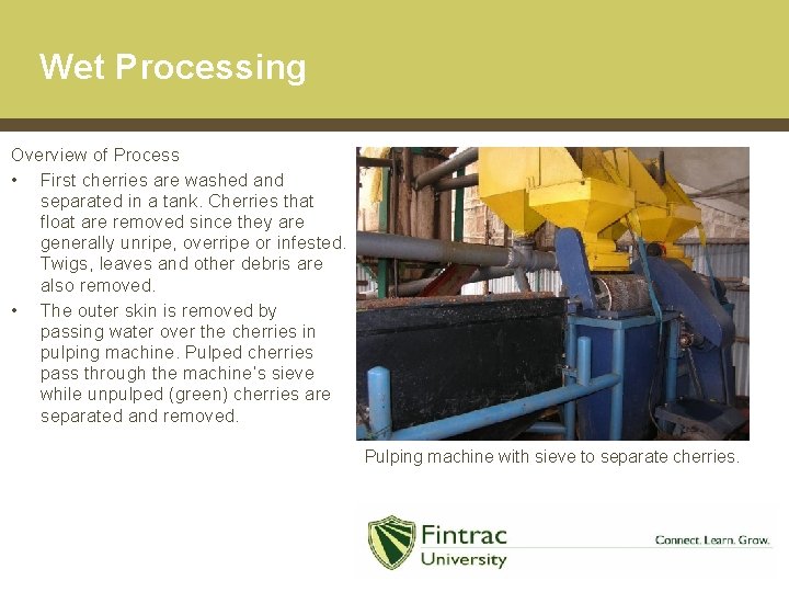 Wet Processing Overview of Process • First cherries are washed and separated in a