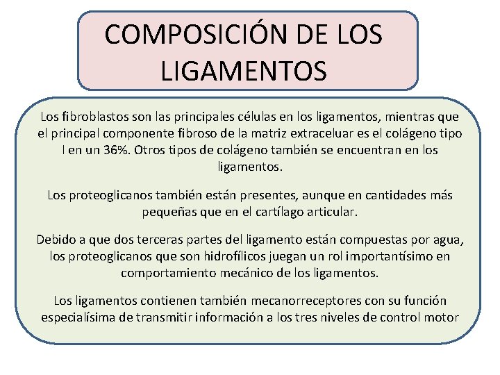 COMPOSICIÓN DE LOS LIGAMENTOS Los fibroblastos son las principales células en los ligamentos, mientras