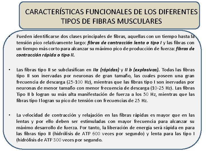CARACTERÍSTICAS FUNCIONALES DE LOS DIFERENTES TIPOS DE FIBRAS MUSCULARES • Pueden identificarse dos clases