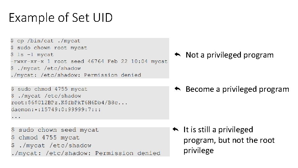 Example of Set UID Not a privileged program Become a privileged program It is Example of Set UID Not a privileged program Become a privileged program It is