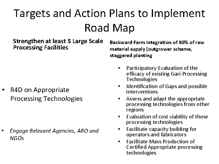 Targets and Action Plans to Implement Road Map Strengthen at least 5 Large Scale