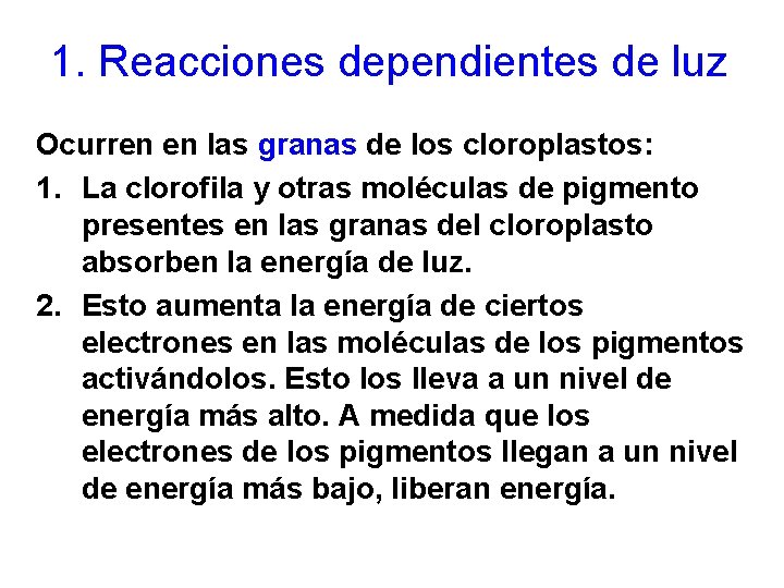 1. Reacciones dependientes de luz Ocurren en las granas de los cloroplastos: 1. La 1. Reacciones dependientes de luz Ocurren en las granas de los cloroplastos: 1. La