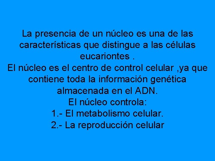 La presencia de un núcleo es una de las características que distingue a las La presencia de un núcleo es una de las características que distingue a las