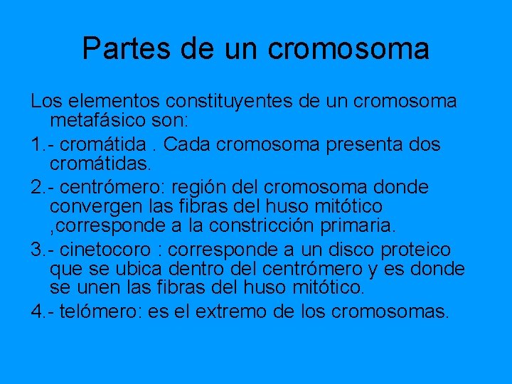 Partes de un cromosoma Los elementos constituyentes de un cromosoma metafásico son: 1. - Partes de un cromosoma Los elementos constituyentes de un cromosoma metafásico son: 1. -