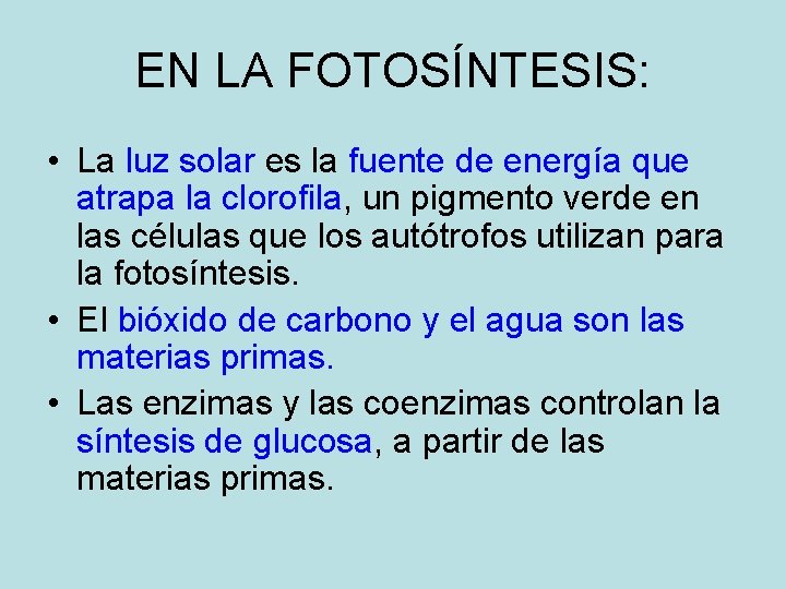 EN LA FOTOSÍNTESIS: • La luz solar es la fuente de energía que atrapa EN LA FOTOSÍNTESIS: • La luz solar es la fuente de energía que atrapa