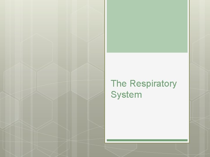 The Respiratory System 