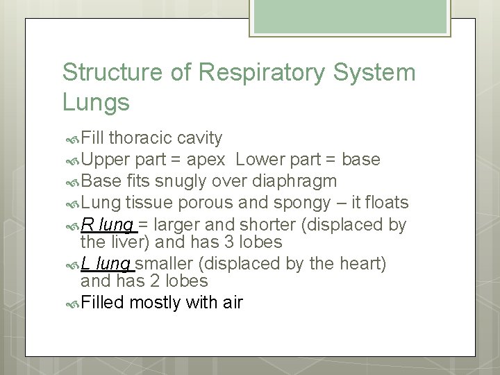 Structure of Respiratory System Lungs Fill thoracic cavity Upper part = apex Lower part