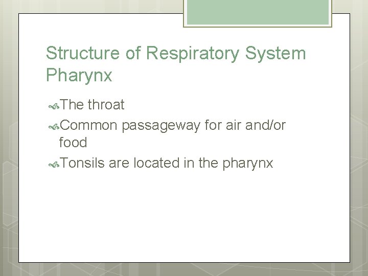 Structure of Respiratory System Pharynx The throat Common passageway for air and/or food Tonsils
