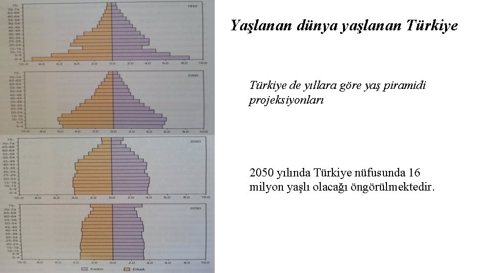 Yaşlanan dünya yaşlanan Türkiye de yıllara göre yaş piramidi projeksiyonları 2050 yılında Türkiye nüfusunda