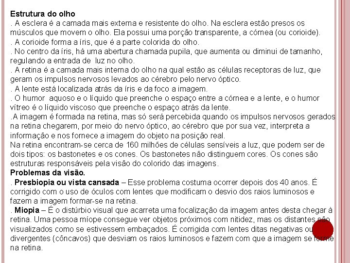 Estrutura do olho. A esclera é a camada mais externa e resistente do olho.