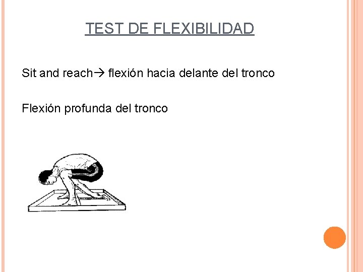 TEST DE FLEXIBILIDAD Sit and reach flexión hacia delante del tronco Flexión profunda del
