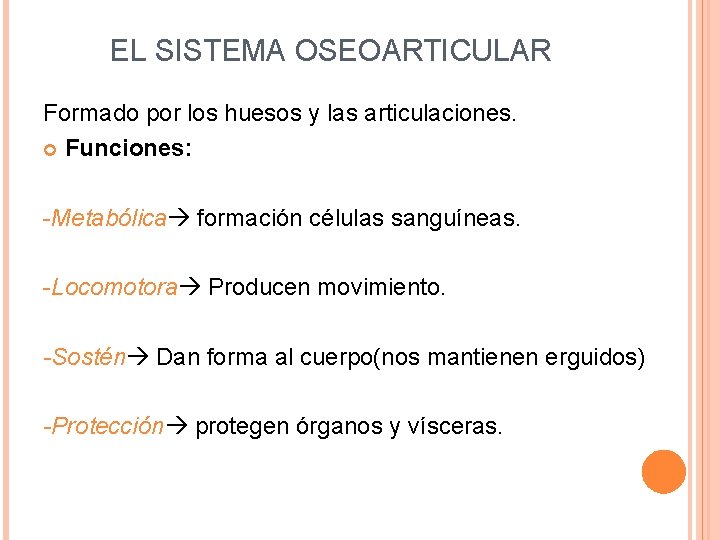 EL SISTEMA OSEOARTICULAR Formado por los huesos y las articulaciones. Funciones: -Metabólica formación células