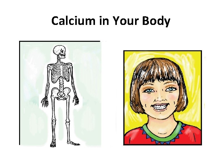 Calcium in Your Body 