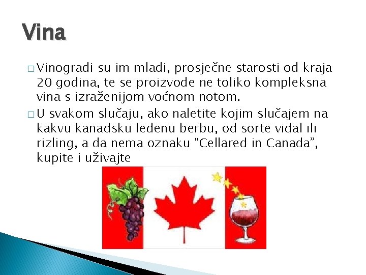 Vina � Vinogradi su im mladi, prosječne starosti od kraja 20 godina, te se