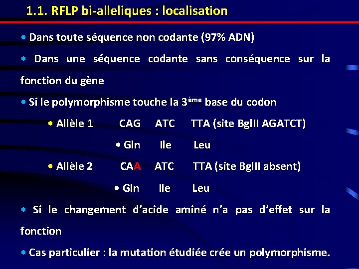 1. 1. RFLP bi-alleliques : localisation • Dans toute séquence non codante (97% ADN)