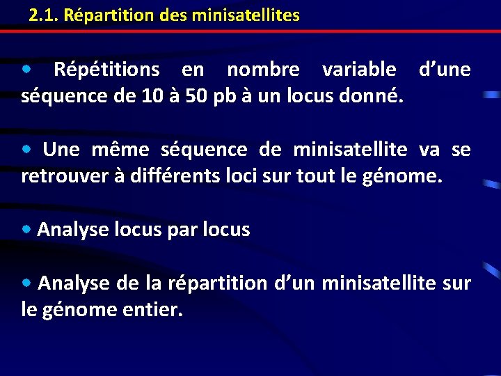 2. 1. Répartition des minisatellites • Répétitions en nombre variable d’une séquence de 10