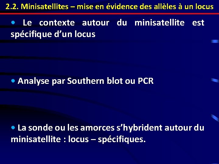 2. 2. Minisatellites – mise en évidence des allèles à un locus • Le